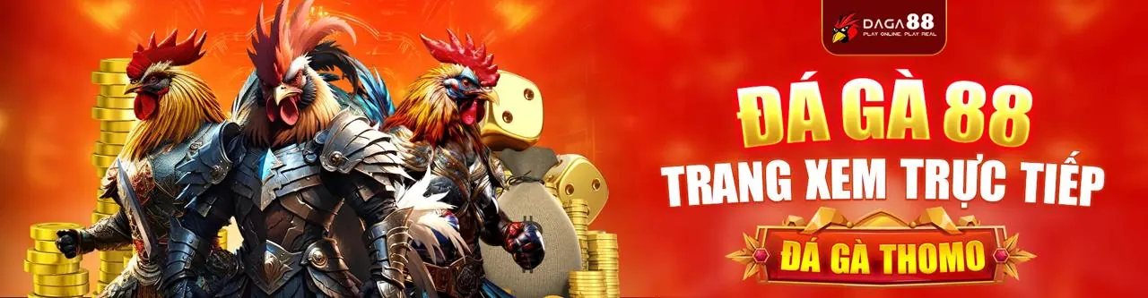 Sân đấu đá gà trực tuyến kịch tính tại vn89 win